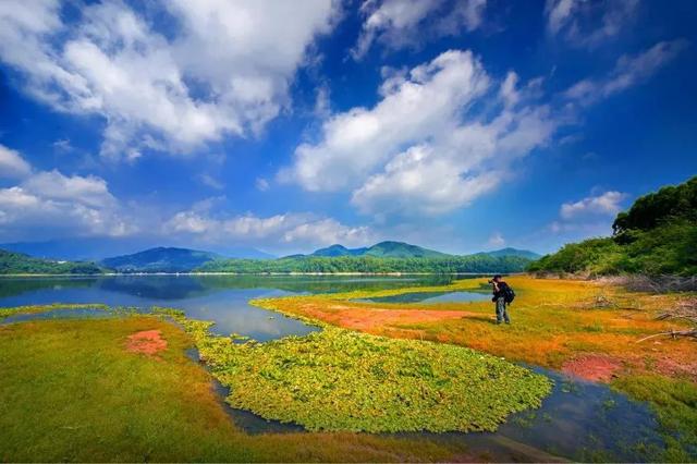 罗浮山在哪