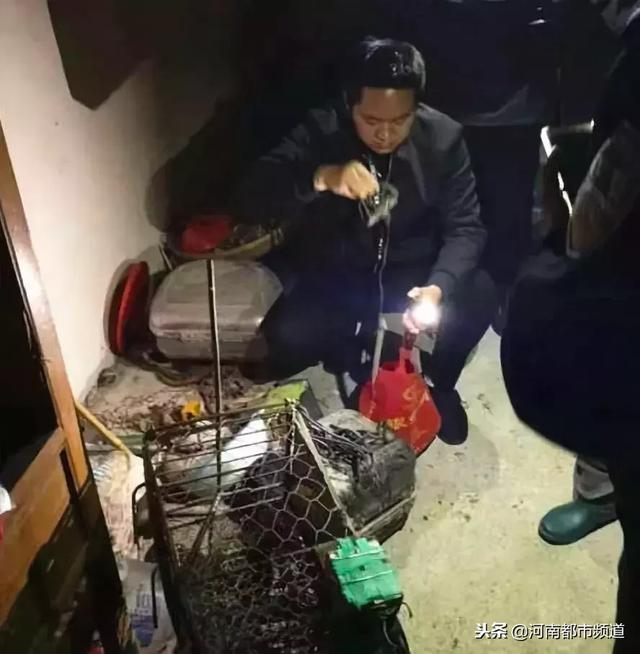 大妈冰柜里藏着 413 只鸟，都是被她毒死的！还被卖到了饭店？4