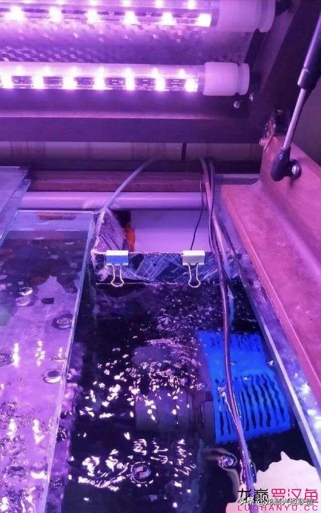 森森水族箱官网