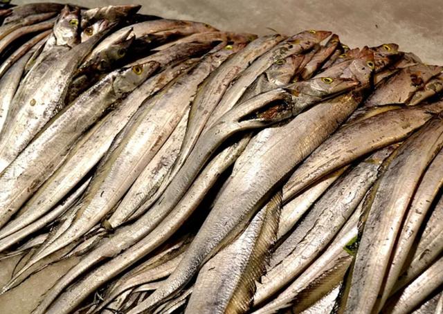 网传的几种防癌食材，有靠谱的吗？于康教授这样点评