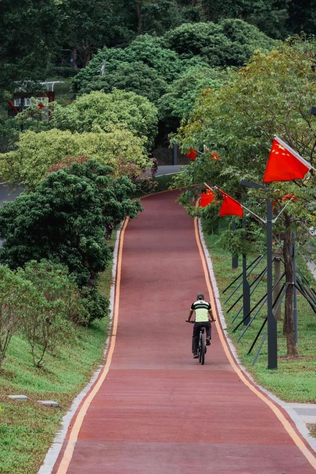 深圳居然私藏了这么多绿道，一个比一个美