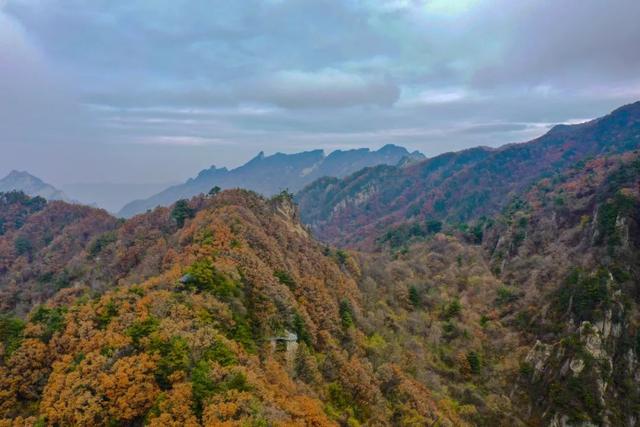 伏牛山在哪