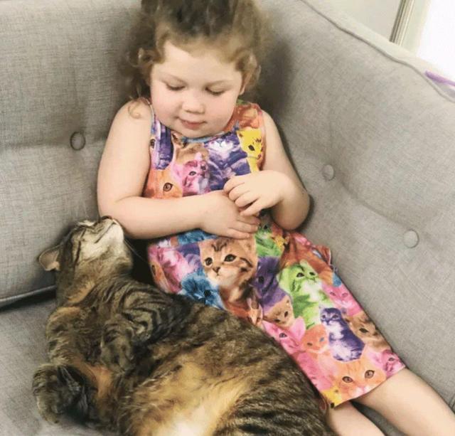 嫌2个孩子在家太闹腾，女子领养了两只猫咪：这下总该安静了吧？