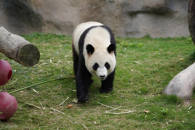 国家级风景名胜区名单