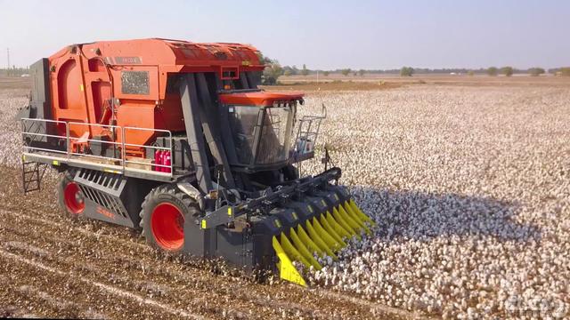 中国高端采棉机火了，十分钟采摘5亩棉花，澳大利亚：不敢相信