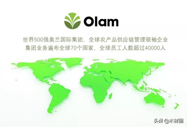 3月15日广州木工机械展