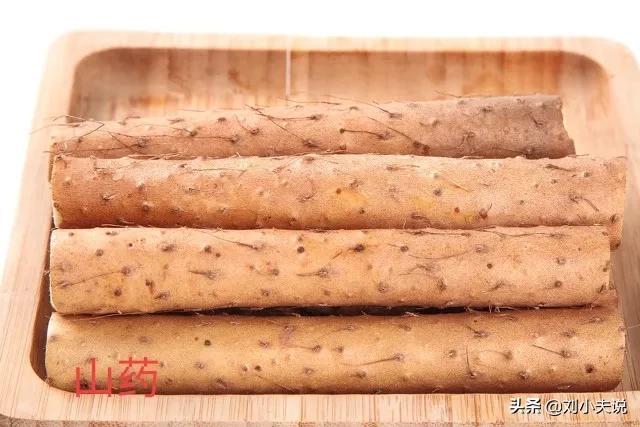 浅谈地黄丸家族(一)独到见解