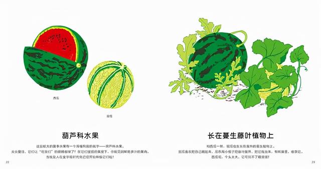 兰可琪绘本书单 | 当绘本遇上美食，打开眼睛和味蕾的双重享受