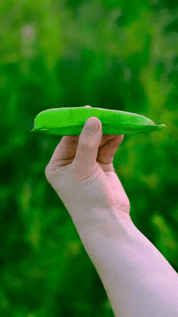 一个特别的妈妈，给孩子一份珍藏版的回忆