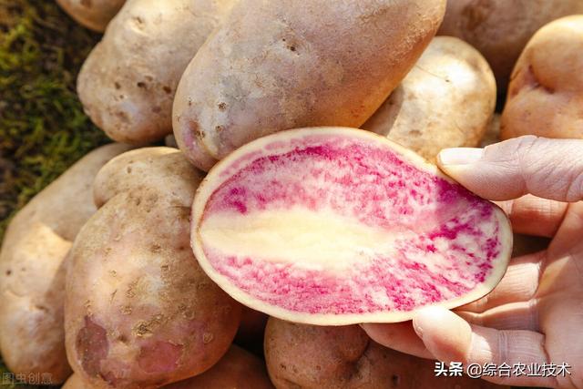 包含螺旋洗砂机洗红胶泥的词条