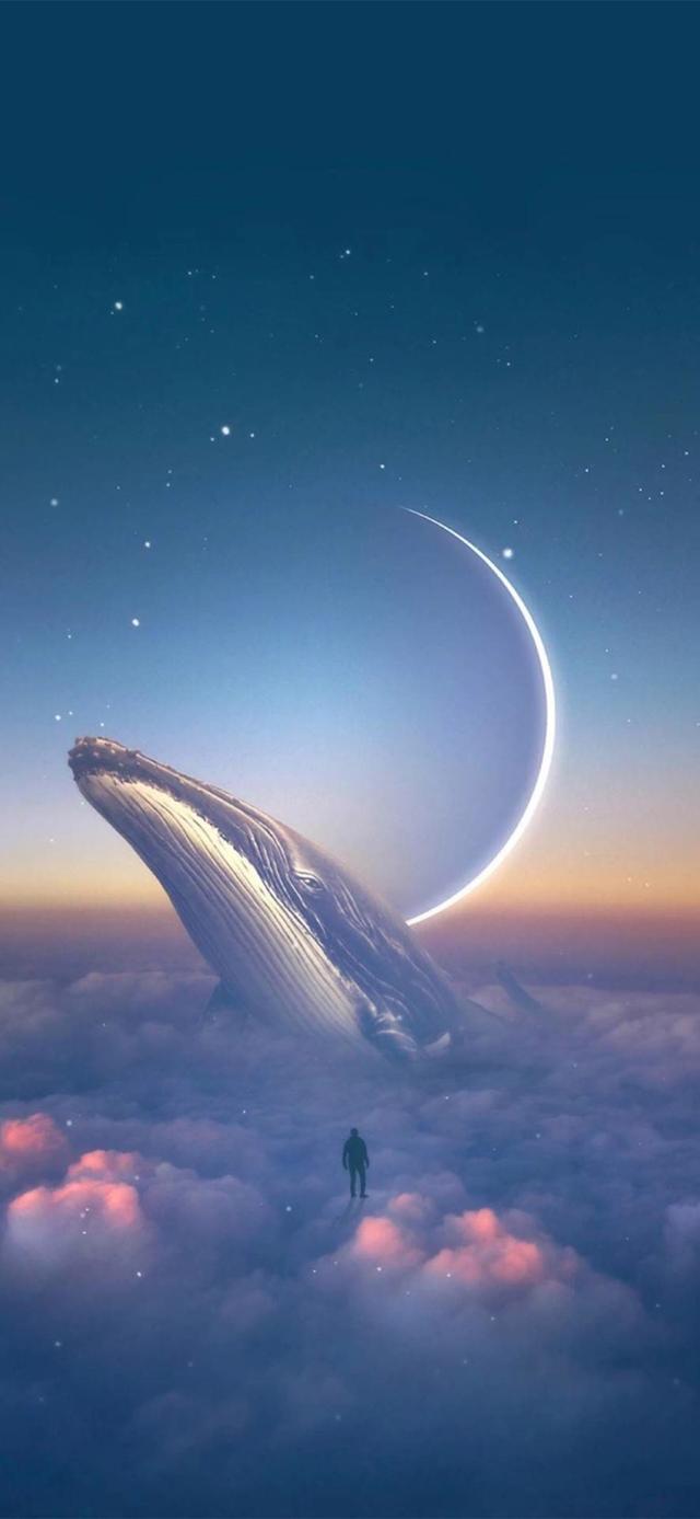 qq微信聊天背景图-站库网