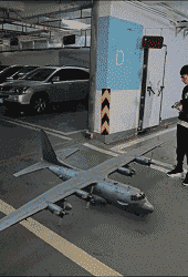 有趣的动态图片gif：只是因为在人群中多看了你一眼