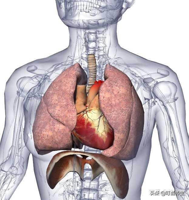 您的心脏怎么样？中医陪你了解自己的心脏