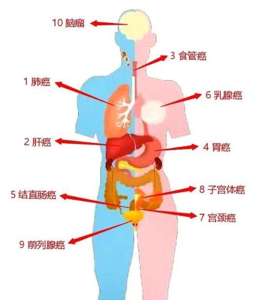 癌症患者有一半是被治死 一半是被吓死 不治疗反而能自愈 全网搜