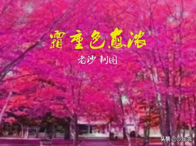 股市早八点(老沙博客股市早八点) 第1张