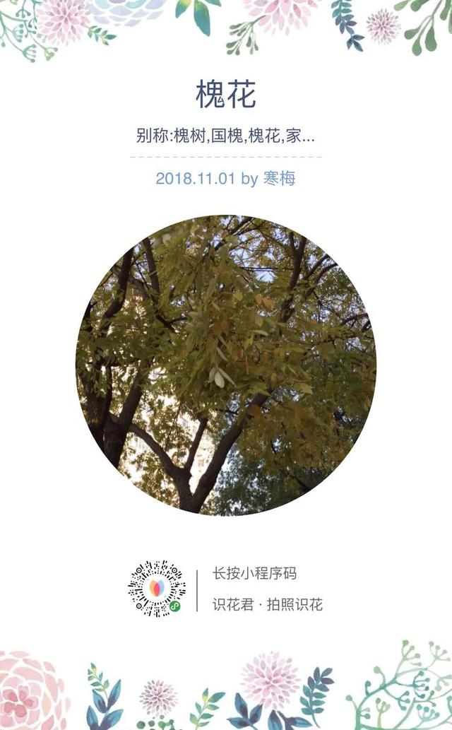 文章图片9