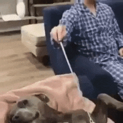 搞笑的动图GIF：优秀的隔壁老王，应该掌握的技巧