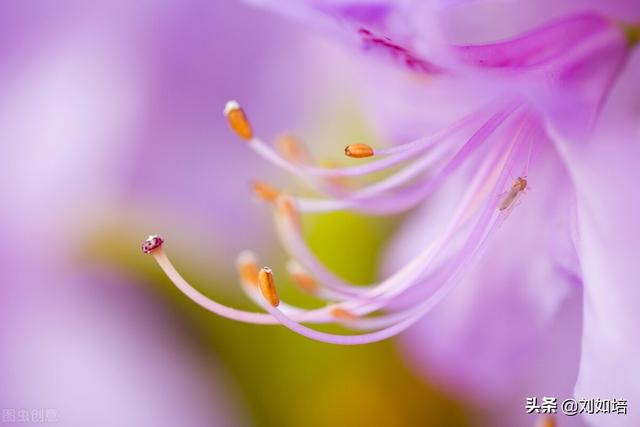 情绪的解析（我对情绪的理解）