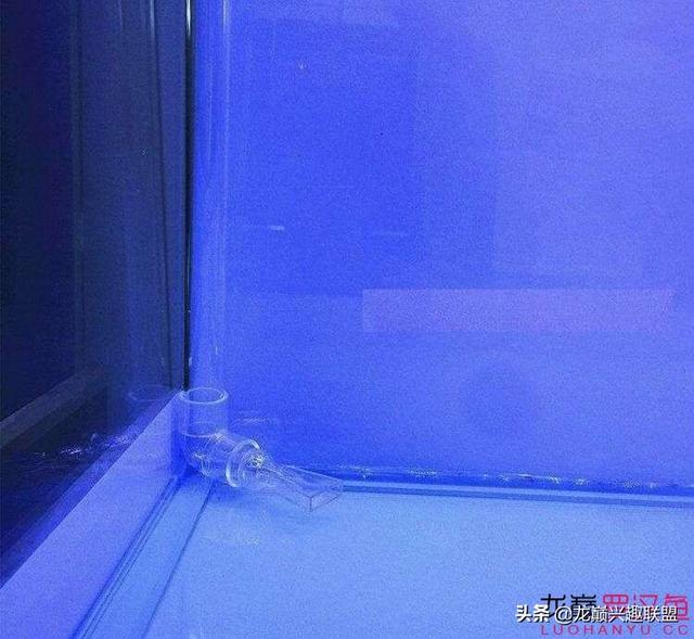 森森水族箱官网