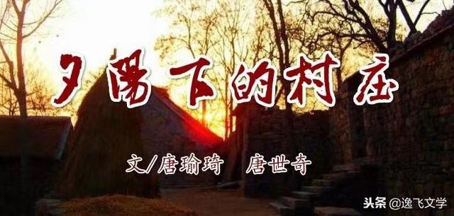 小说《月光下的村庄》「夕阳下的田野作文」