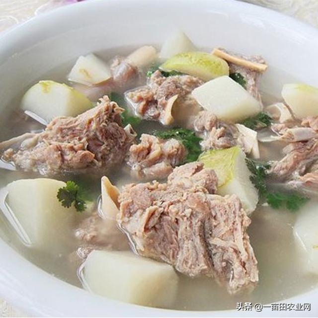 疙瘩菜 疙瘩菜（各大菜系的著名代表菜） 生活