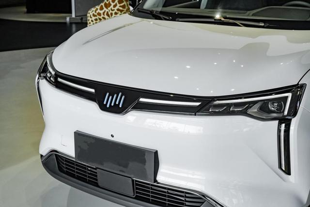 一公里才7分钱，7.9破百+3块大屏，还能自动驾驶，实拍威马W6