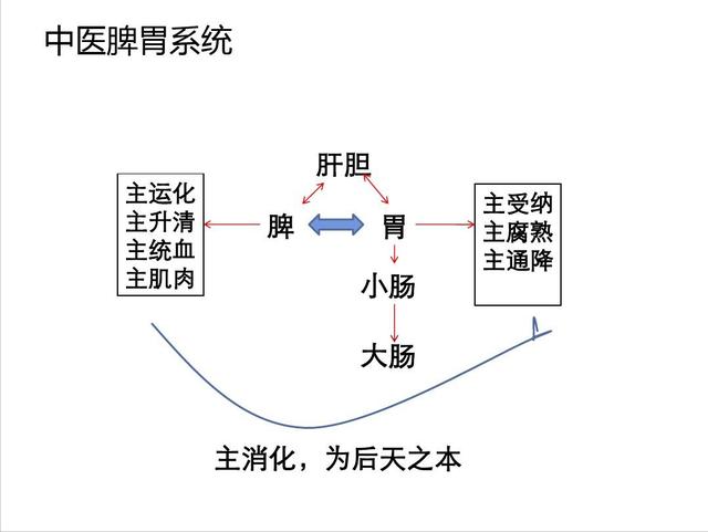 病在肝胆，症见于胃，胃食管反流病从肝论治