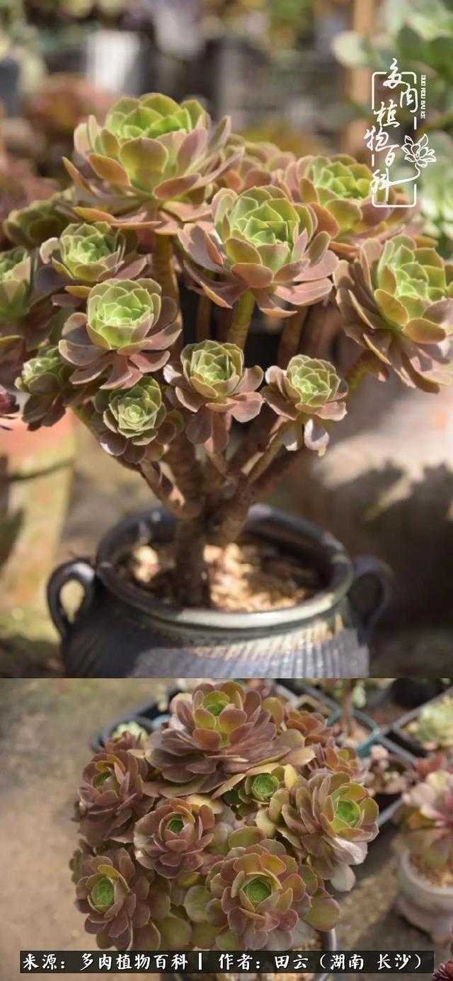 影片剧照