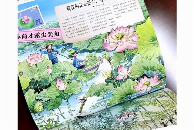 把四季装进书中 8套与季节有关的绘本大盘点