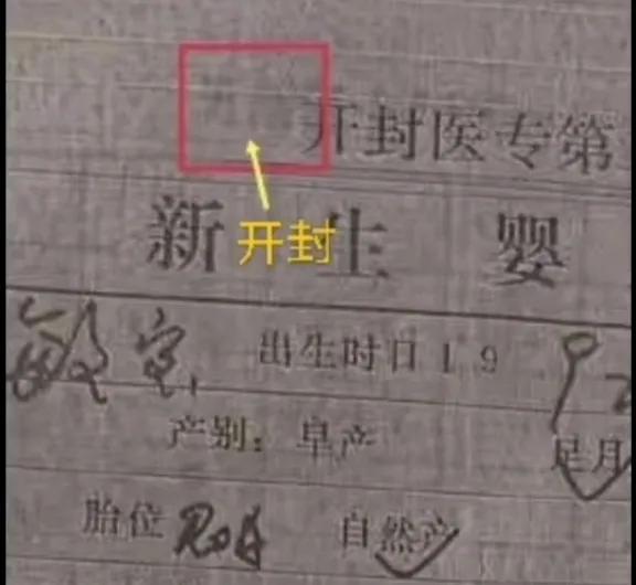 许妈丢失的《新生婴儿记录二》如何重见天日的，来看文字版解析