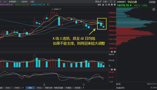 11.11午间对于白酒、半导体、证券、新能源车的分析及建议