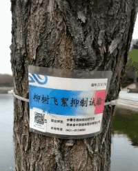 搞笑的GIF图片：这下怕是要废了