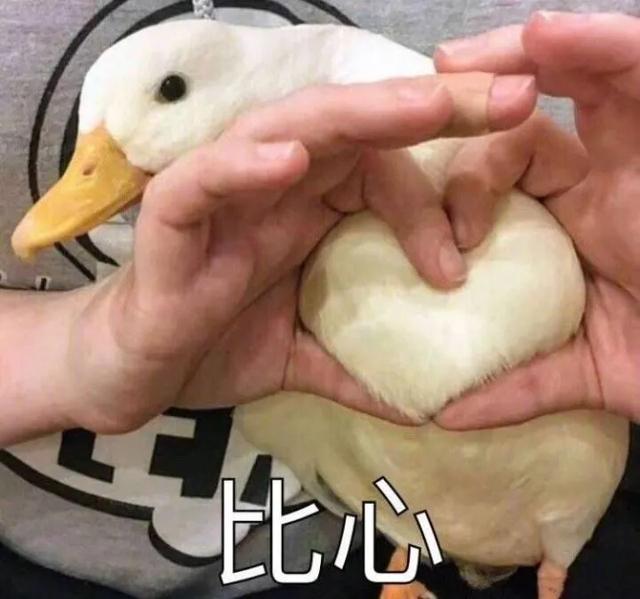 饥饿营销、演技高超、临门一脚学会这3招,下一个带货一哥就是你