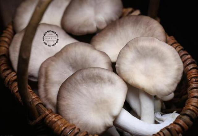 这9种食物，营养全面又均衡，比保健品强，中老年人要多吃