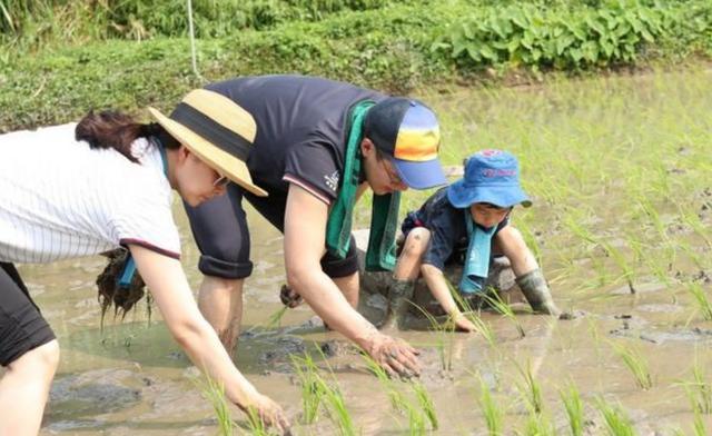 白岩松：情商比智商更重要，常对孩子说这3句话，娃情商低不了