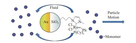 面向靶向医疗的微纳米机器人