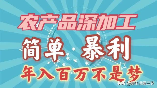 创业办厂好项目，分享五个农村深加工项目，投资低、回报高，创业好选择