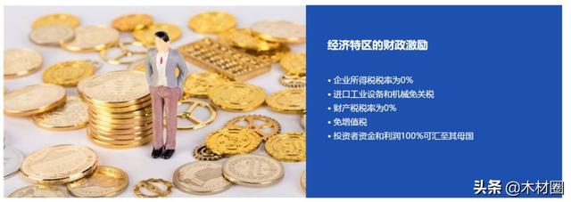 3月15日广州木工机械展