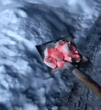 爆笑的动态图GIF：雪中送炭是这样吗？