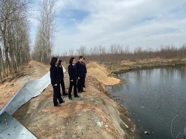 什么是尾矿库头顶库