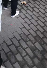 爆笑雷人的动图GIF：摩擦力应用案例演示