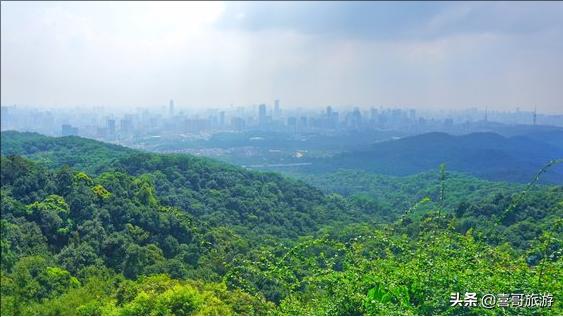 广州有哪些旅游景点