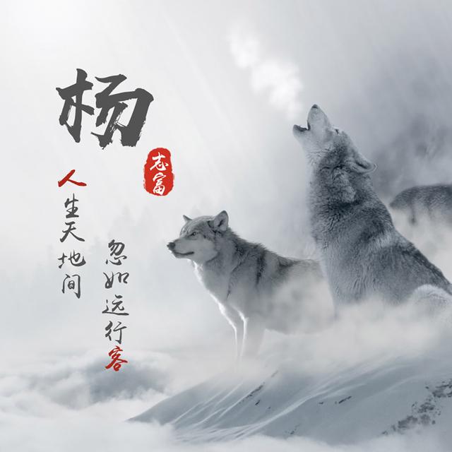 阿古朵红包功能_狼的头像象征着什么-站库网