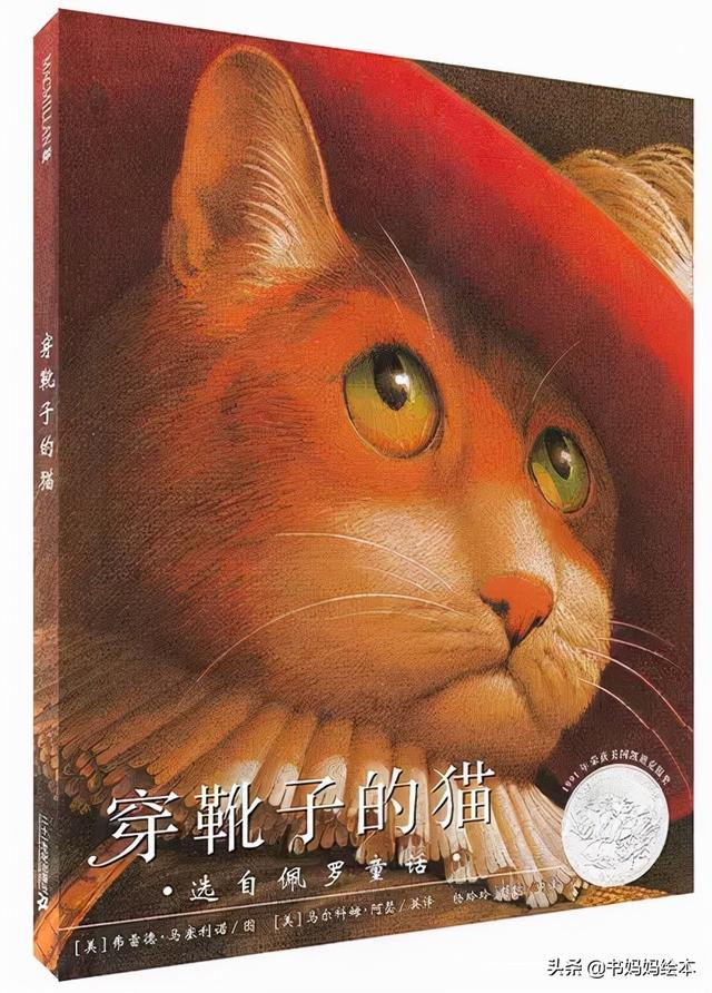 猫咪主题绘本推荐｜和孩子一同打开喵星人的世界