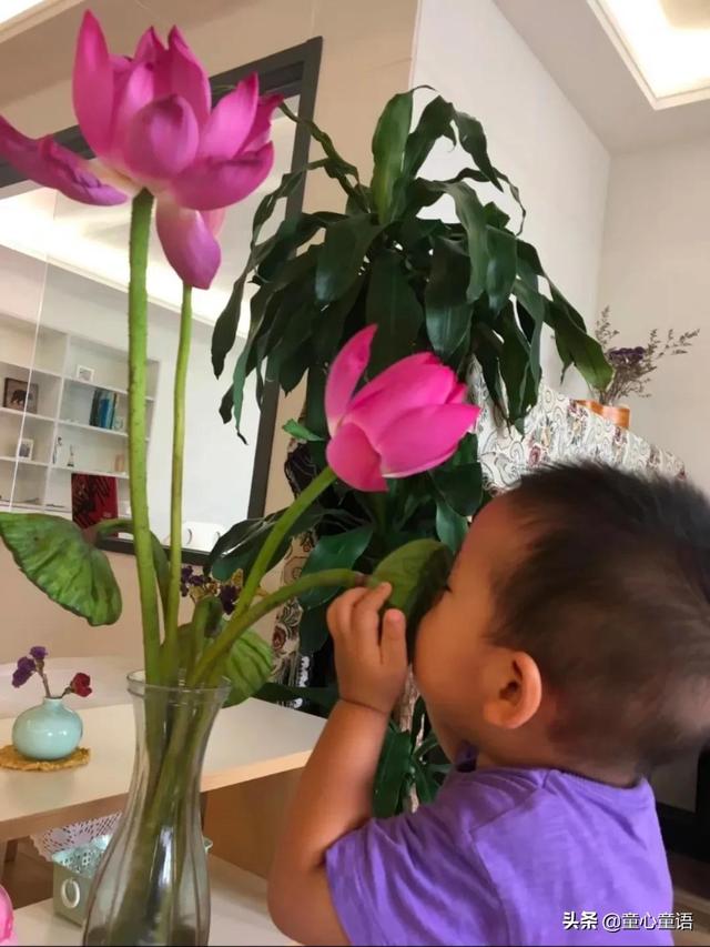 「童心童语分享」你应该知道的蒙氏关键词