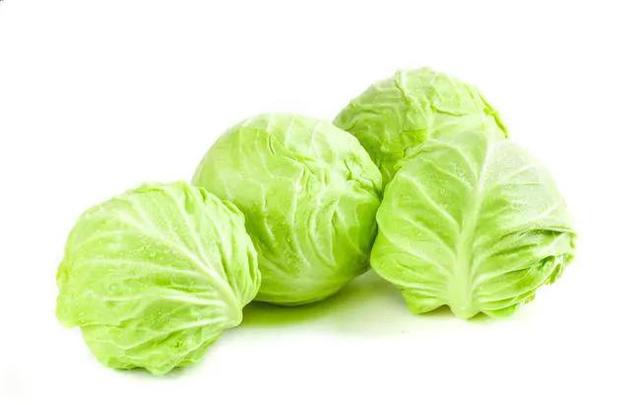 《每日优享生活》卷心菜的来源和功效