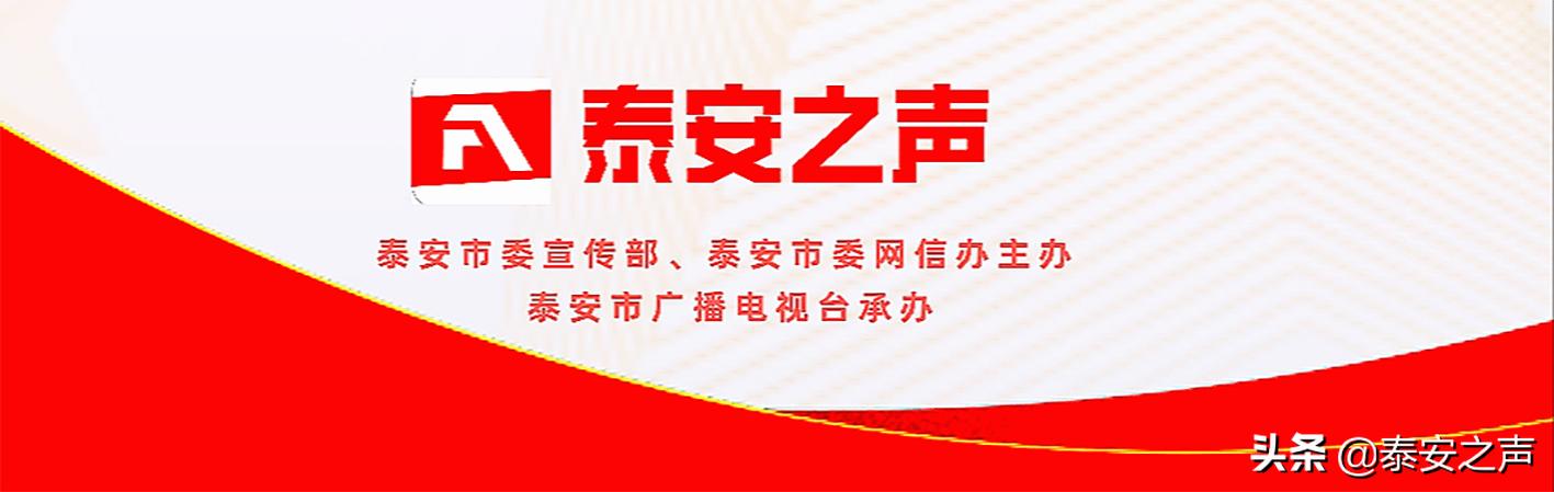 上海木工机械展3月几号