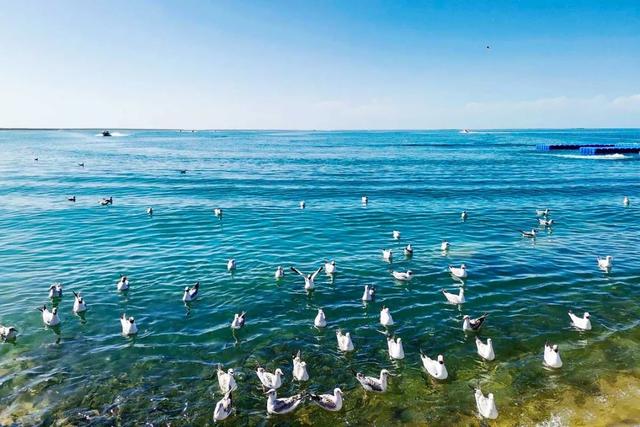 青海旅游景点
