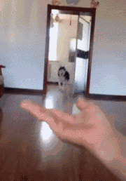 爆笑的动图GIF:在酸臭的恋爱环境中,作为单身贵族的我独自沉沦/