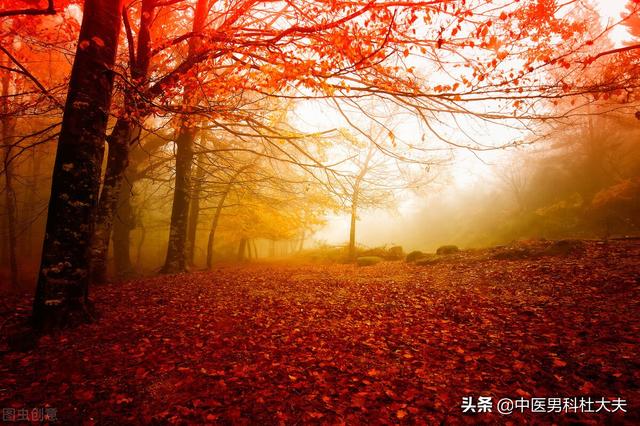 脉象弦细，脾气暴躁，肝气郁结，宗筋失养型ED，中医该如何调理？